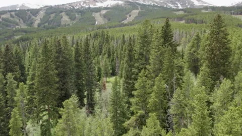 Rocky Mountains Drone Video stock 235753292