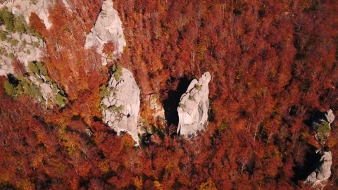 Rocky mountains in fall Stock Footage 255140132