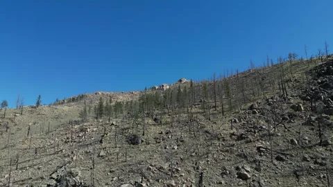 Rocky Mountains Stock Footage 247843879