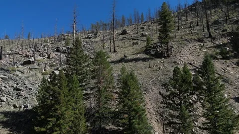 Rocky Mountains 스톡 동영상 247844043