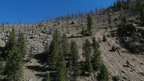 Rocky Mountains Stock Footage 247844051