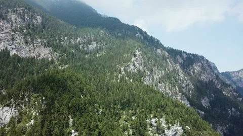 Rocky Mountains with Forest on the background of the Sky with Clouds Stock Footage 237986653