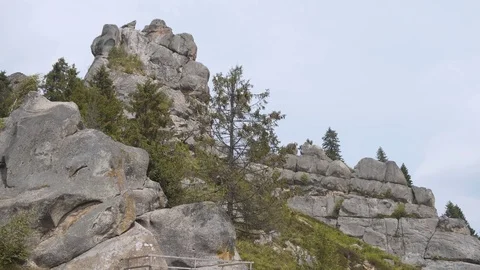Rocky Mountains in Forest 動画素材 77031123