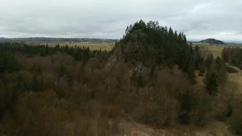 Rocky mountains. Pine trees and fallen trees. High mountains. Aerial view. Stock Footage 273113150