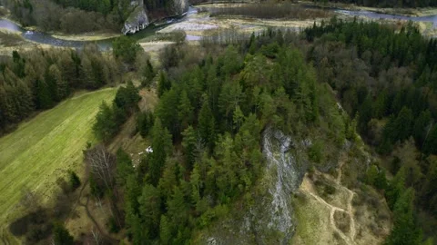 Rocky mountains. Pine trees and fallen trees.  Aerial view. Stock Footage 273113244
