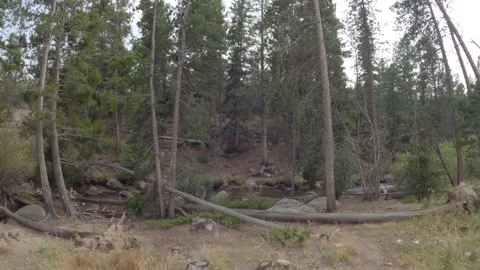 Rocky Mountains River Stock Footage 140760162