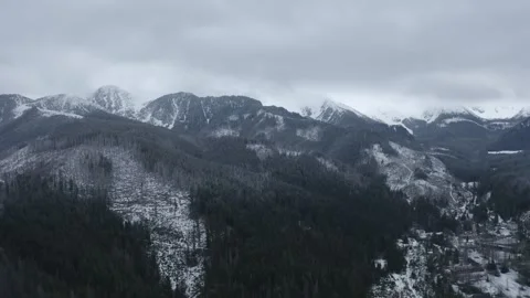 Rocky mountains in snow. Pine trees and fallen trees. Aerial view. Stock Footage 273113510