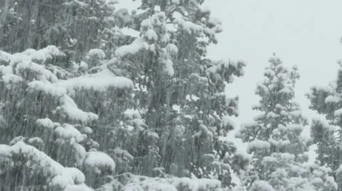 Rocky Mountains in Winter Video stock 11263172