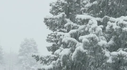 Rocky Mountains in Winter Video stock 11263178