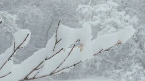 Rocky Mountains in Winter Stock Footage 11263182