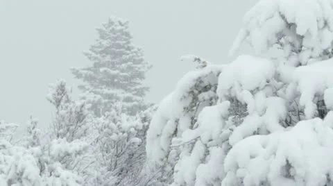 Rocky Mountains in Winter Stock Footage 11263183