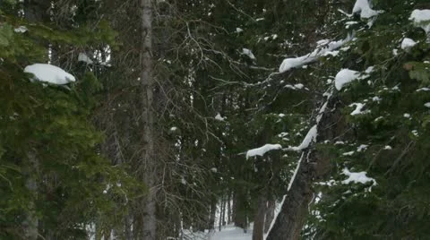 Rocky Mountains in Winter Stock Footage 11263192