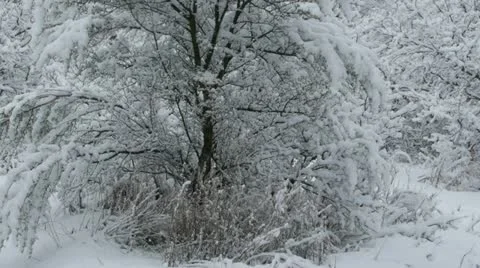 Rocky Mountains in Winter Stock Footage 11263199