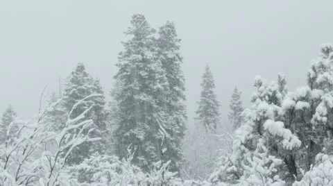 Rocky Mountains in Winter Stock Footage 11263202