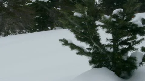 Rocky Mountains in Winter Stock Footage 11263205