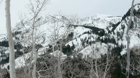 Rocky Mountains in Winter Video stock 11263210