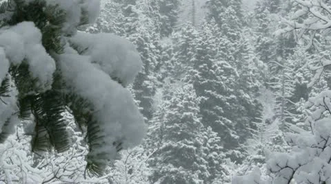 Rocky Mountains in Winter Stock Footage 11263214