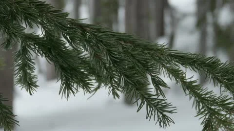 Rocky Mountains in Winter Video stock 11263221
