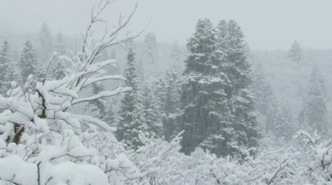Rocky Mountains in Winter Video stock 11263225