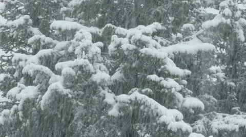 Rocky Mountains in Winter Stock Footage 11263232