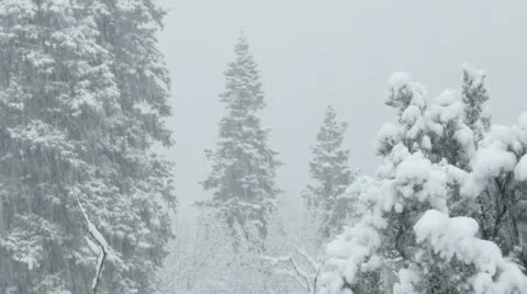 Rocky Mountains in Winter Video stock 11263235