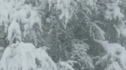 Rocky Mountains in Winter Video stock 11263236