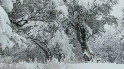 Rocky Mountains in Winter Stock Footage 11263237