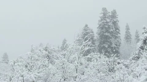 Rocky Mountains in Winter Stock Footage