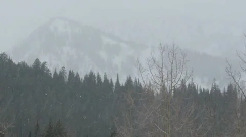 Rocky Mountains in Winter Stock Footage 11263239