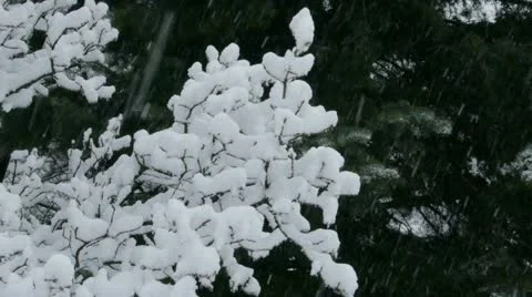 Rocky Mountains in Winter Video stock 11263248