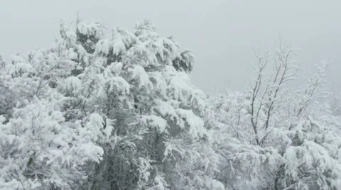 Rocky Mountains in Winter Video stock 11263249