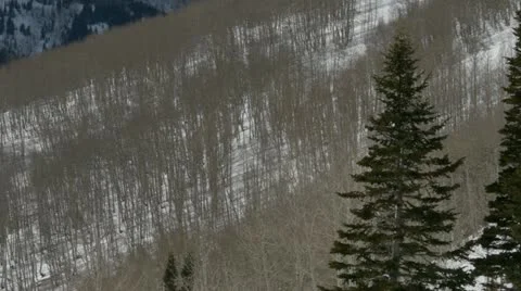 Rocky Mountains in Winter Stock Footage