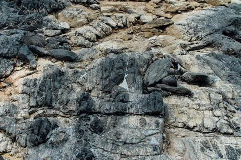 Rocky mountainside. Texture Stock Photos