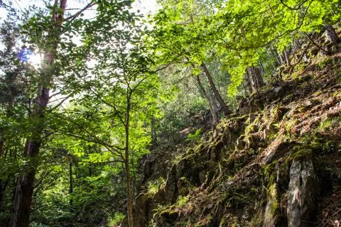 Rocky nature Foto stock