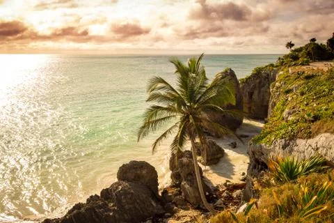 Rocky ocean coastline with beach and palm trees, Mexico Foto stock