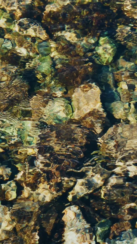 Rocky ocean floor revealed through transparent water Stock Footage 335568084