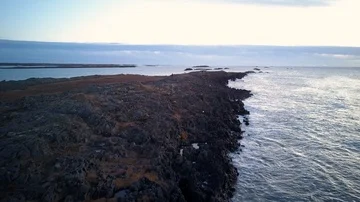 Rocky ocean shore Video stock 85521762