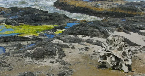 Rocky Oregon Shore Stock Footage 44281548