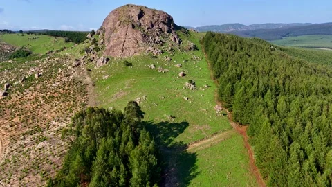 Rocky Outcrop Amidst Pine Forest Video stock 296542245