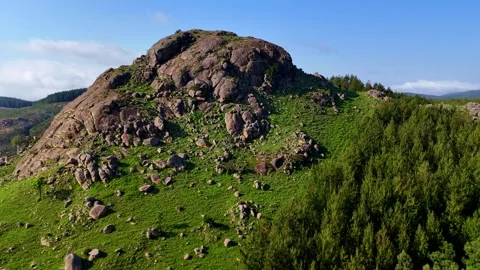 Rocky Outcrop Amidst Pine Forest Video stock 296542249