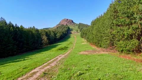Rocky Outcrop Amidst Pine Forest Video stock 296542250