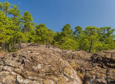Rocky outcrop with pine trees under blue sky Stock Photos