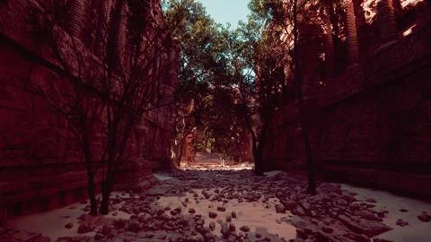 A rocky path between buildings Ilustración de archivo