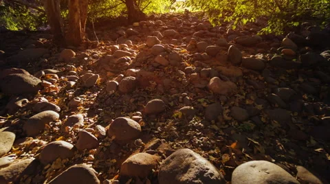 Rocky path Vidéo 46499714