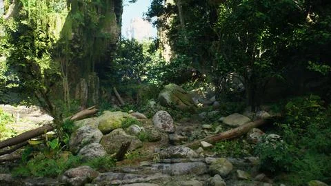 Rocky Path in Forest Stock Illustration