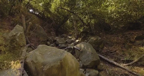 Rocky path in forest through trees Stock Footage 108546848