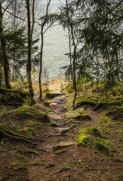 Rocky path to the lake Foto stock