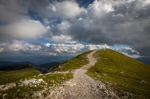 Rocky path surrounded by grass meadow with scenic, cloudy, blue sky Stock Photos