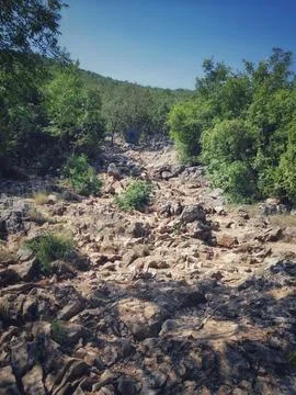 Rocky Path Through Nature Beneath a Clear Blue Sky Photos