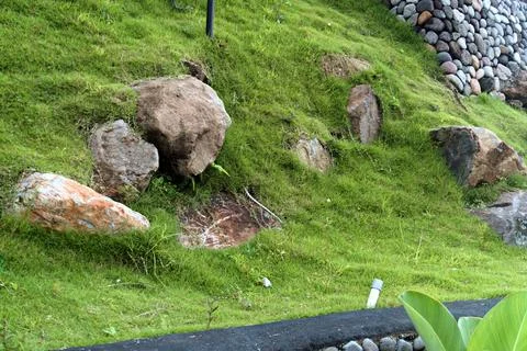 The Rocky Stock Photos